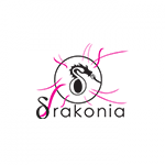 Logo du partenaire Drakonia